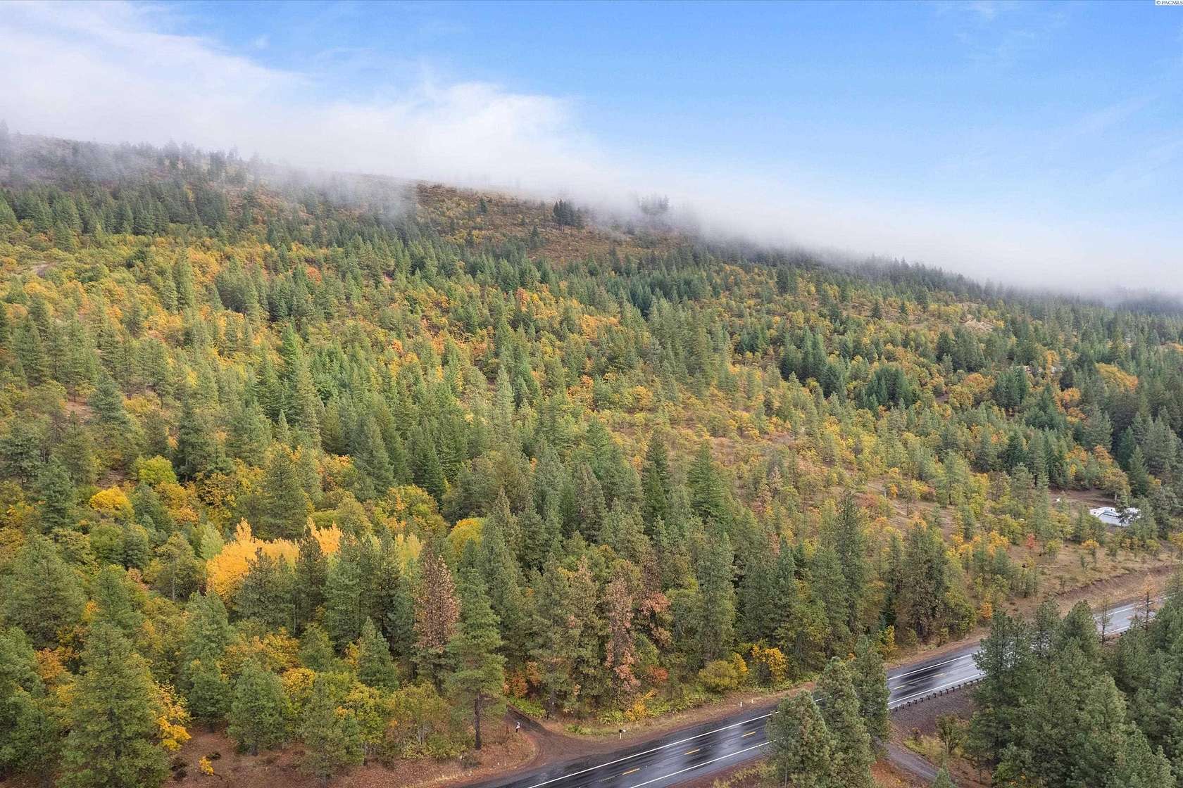 20 Acres of Recreational & Residential Land for Sale in Goldendale, Washington