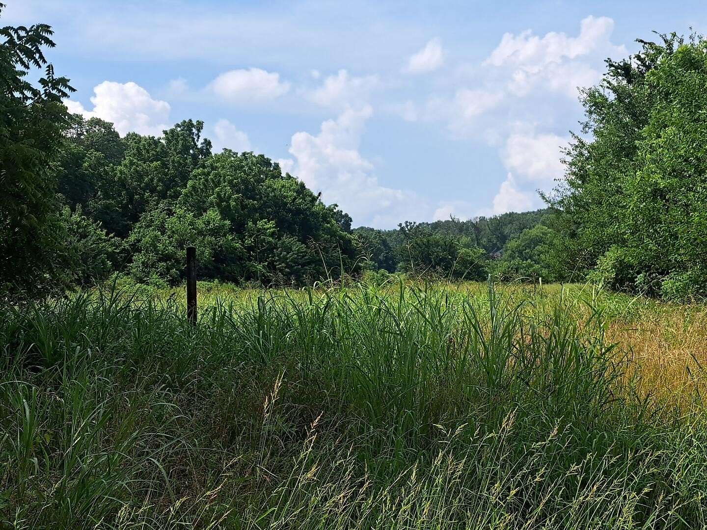17 Acres of Land for Sale in Granby, Missouri