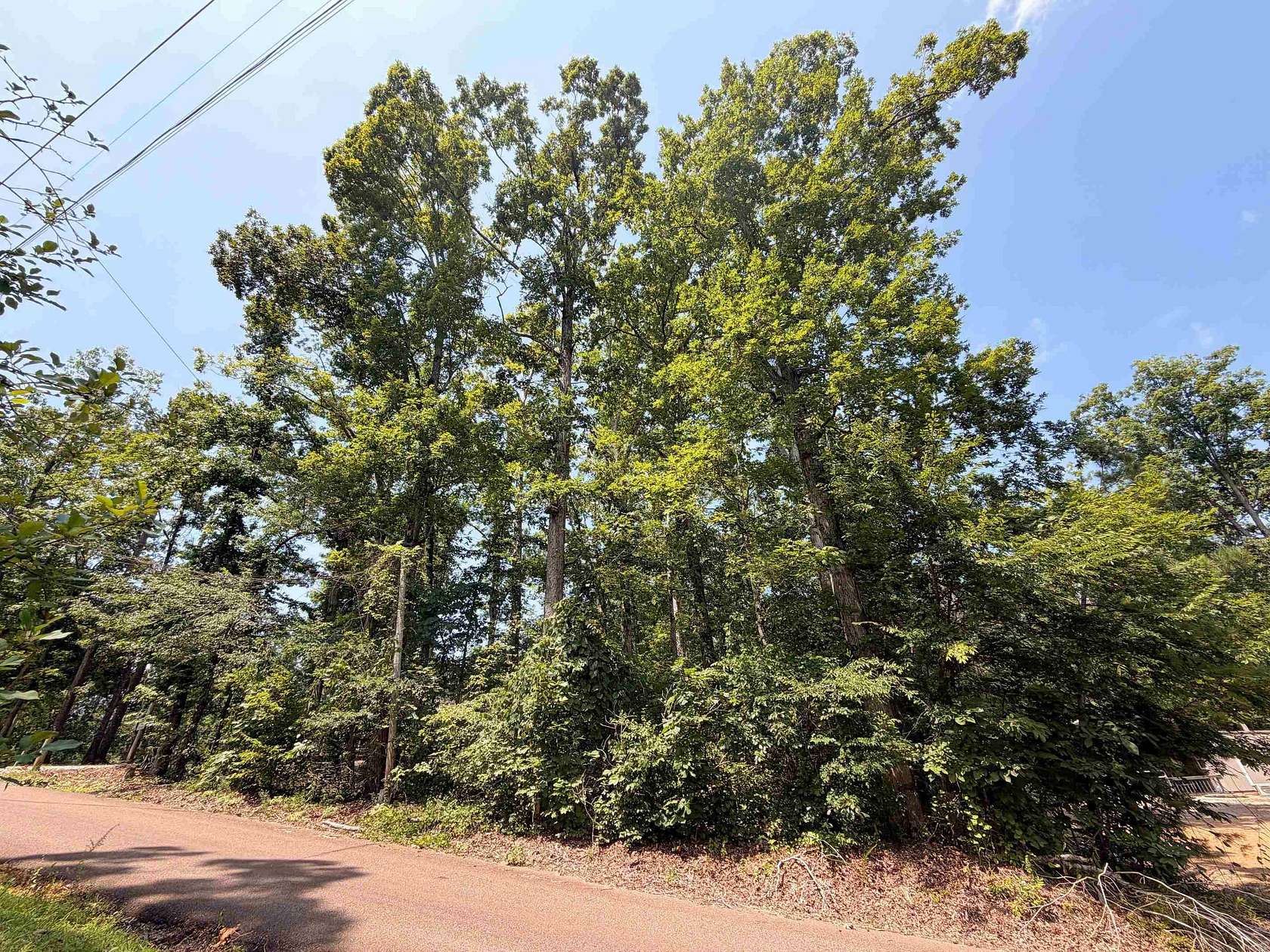 0.44 Acres of Residential Land for Sale in Counce, Tennessee