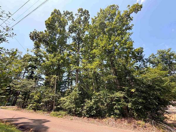 0.44 Acres of Residential Land for Sale in Counce, Tennessee