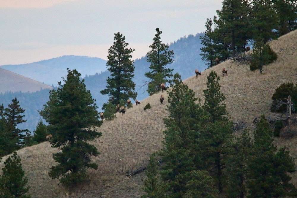120 Acres of Recreational Land with Home for Sale in Helena, Montana