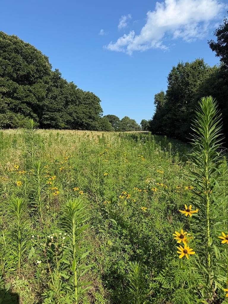 36 Acres of Land for Sale in Macon, Missouri