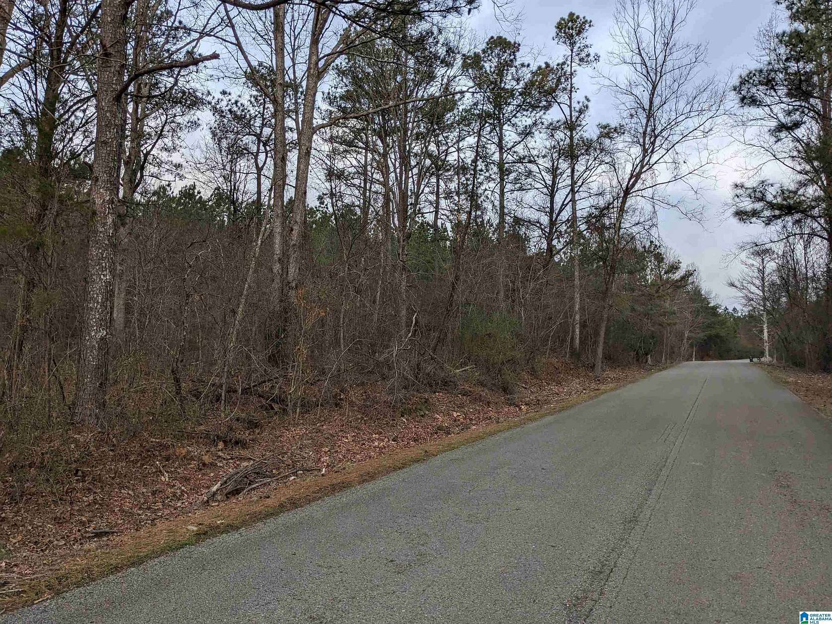5.5 Acres of Residential Land for Sale in Haleyville, Alabama