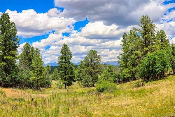 5 Acres of Land for Sale in Pagosa Springs, Colorado