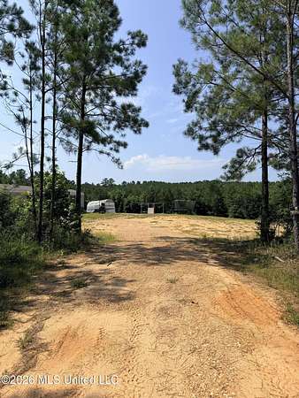 12 Acres of Recreational Land with Home for Sale in Mendenhall, Mississippi