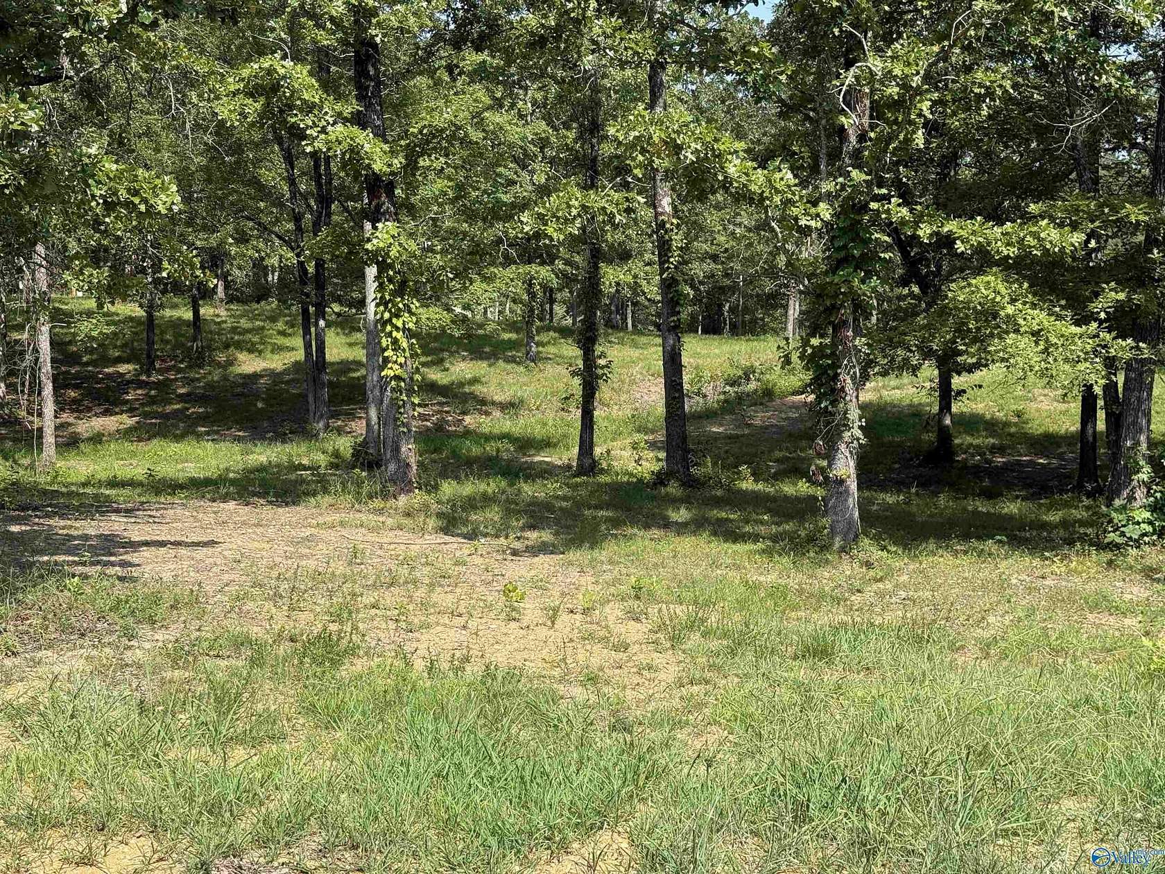 1.28 Acres of Residential Land for Sale in Cedar Bluff, Alabama