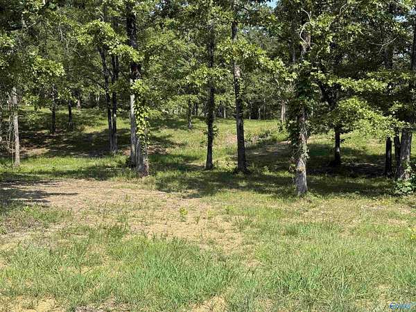1.28 Acres of Residential Land for Sale in Cedar Bluff, Alabama