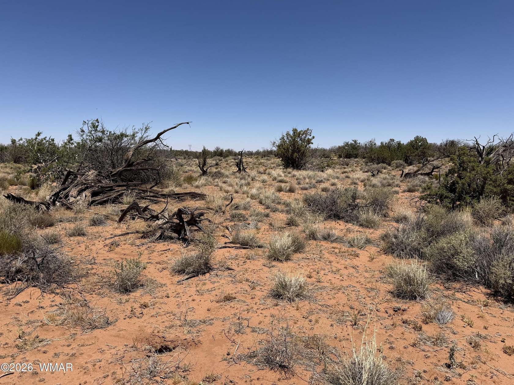 42.2 Acres of Recreational & Residential Land for Sale in Heber, Arizona