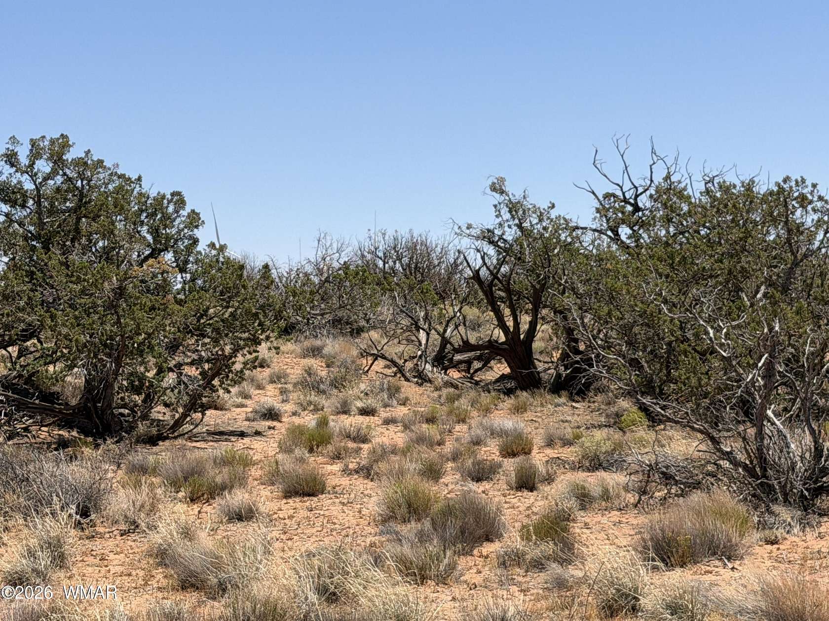 42.2 Acres of Recreational & Residential Land for Sale in Heber, Arizona