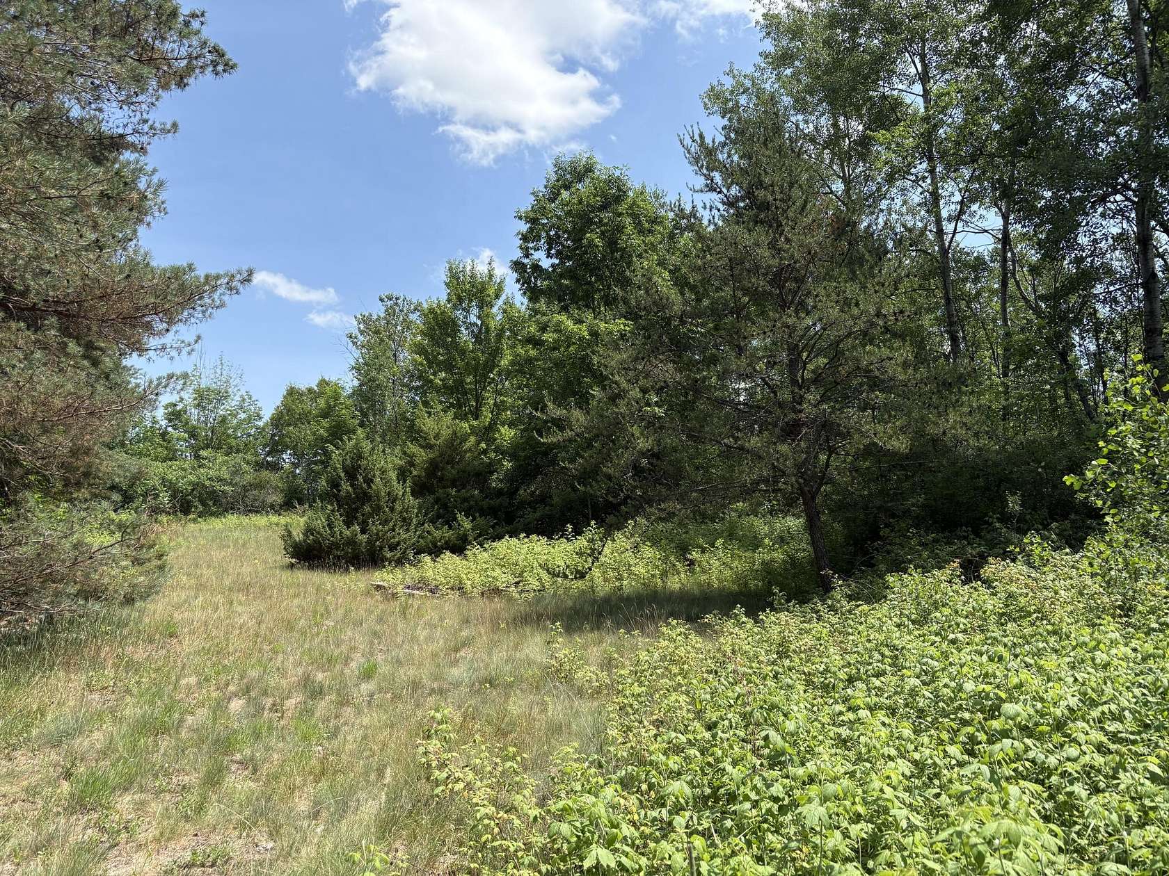 5 Acres of Land for Sale in Reed City, Michigan