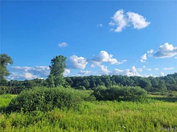 23.9 Acres of Recreational Land for Sale in Randolph, New York