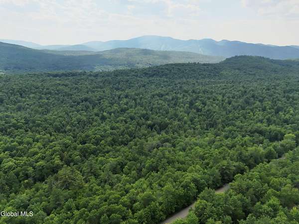 9.62 Acres of Residential Land for Sale in Riparius, New York