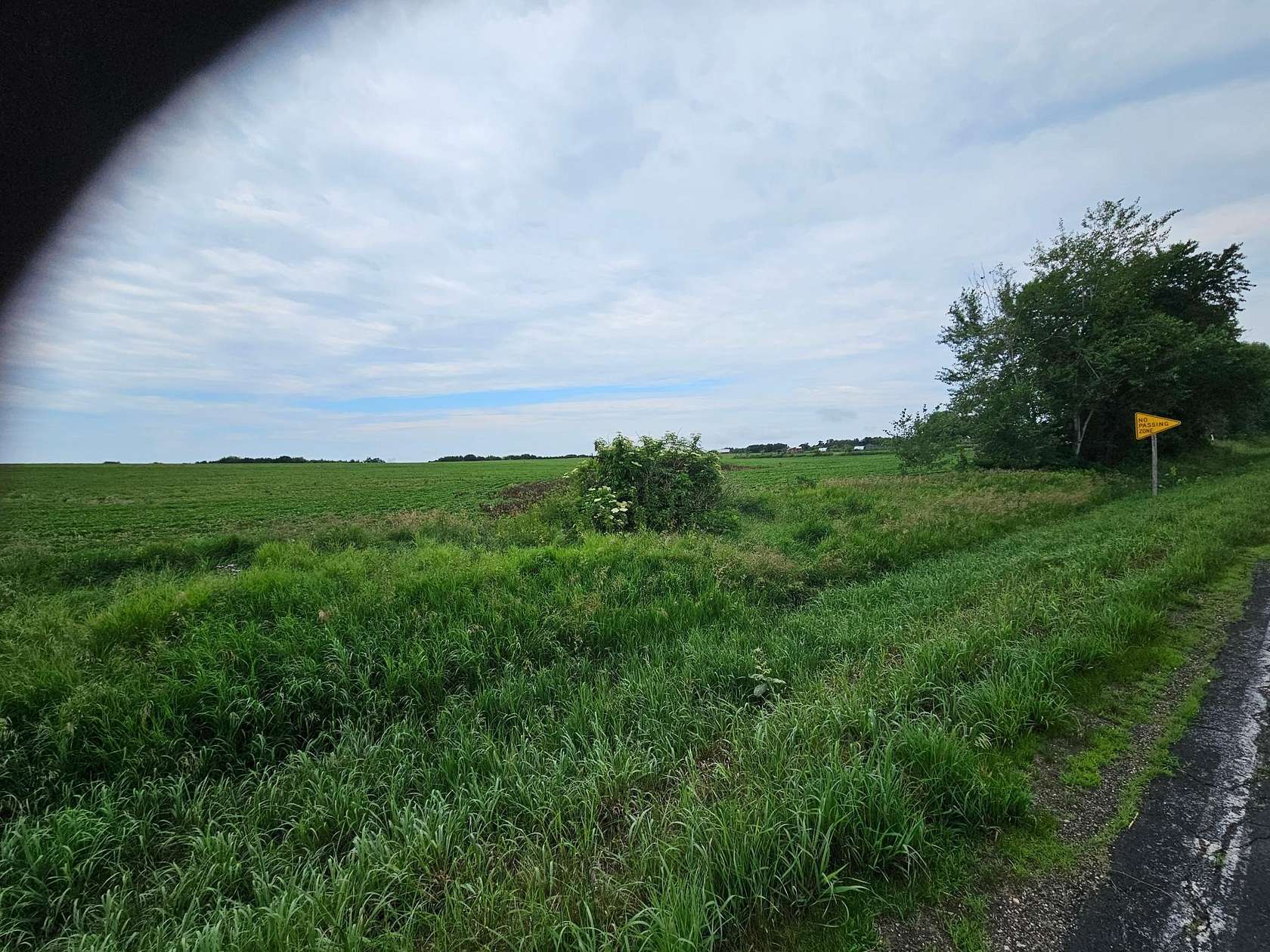 40 Acres of Agricultural Land for Sale in River Falls, Wisconsin
