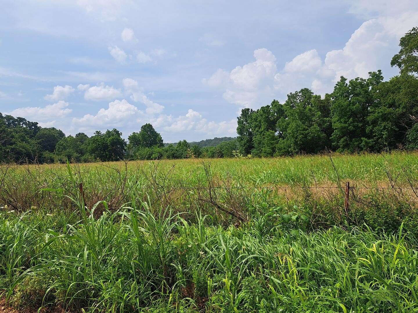 23 Acres of Land for Sale in Granby, Missouri