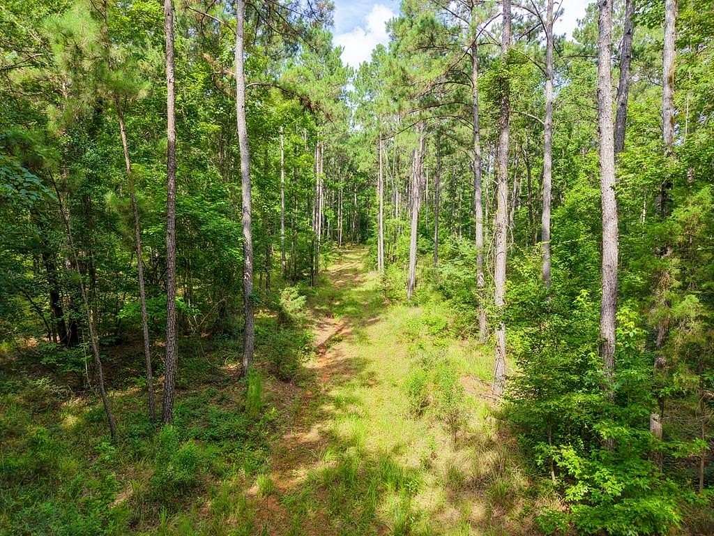 103 Acres of Recreational & Residential Land for Sale in Houston, Texas