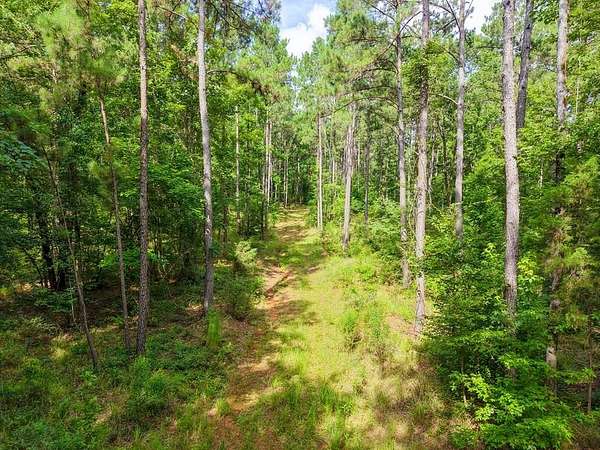 103 Acres of Recreational & Residential Land for Sale in Houston, Texas