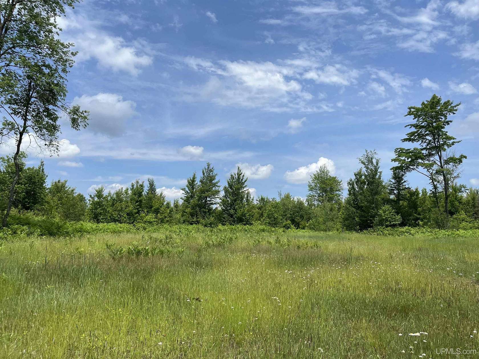 40 Acres of Recreational Land for Sale in Sagola, Michigan