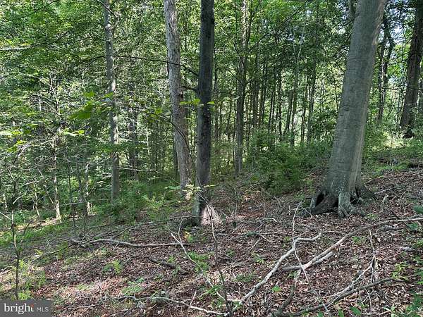 10.6 Acres of Land for Sale in Clear Spring, Maryland