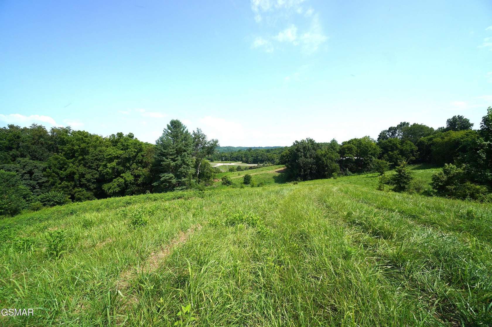 28 Acres of Land for Sale in Parrottsville, Tennessee