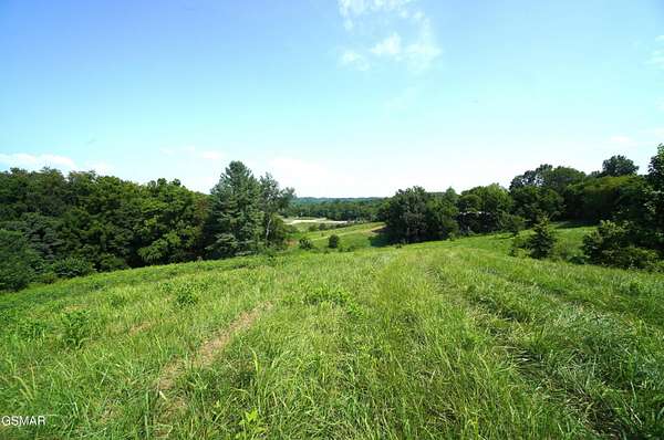 28 Acres of Land for Sale in Parrottsville, Tennessee