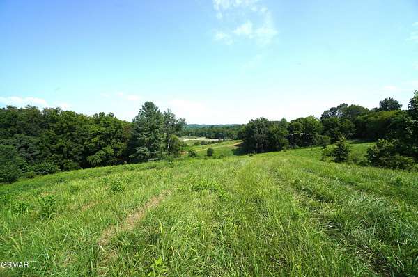28 Acres of Land for Sale in Parrottsville, Tennessee