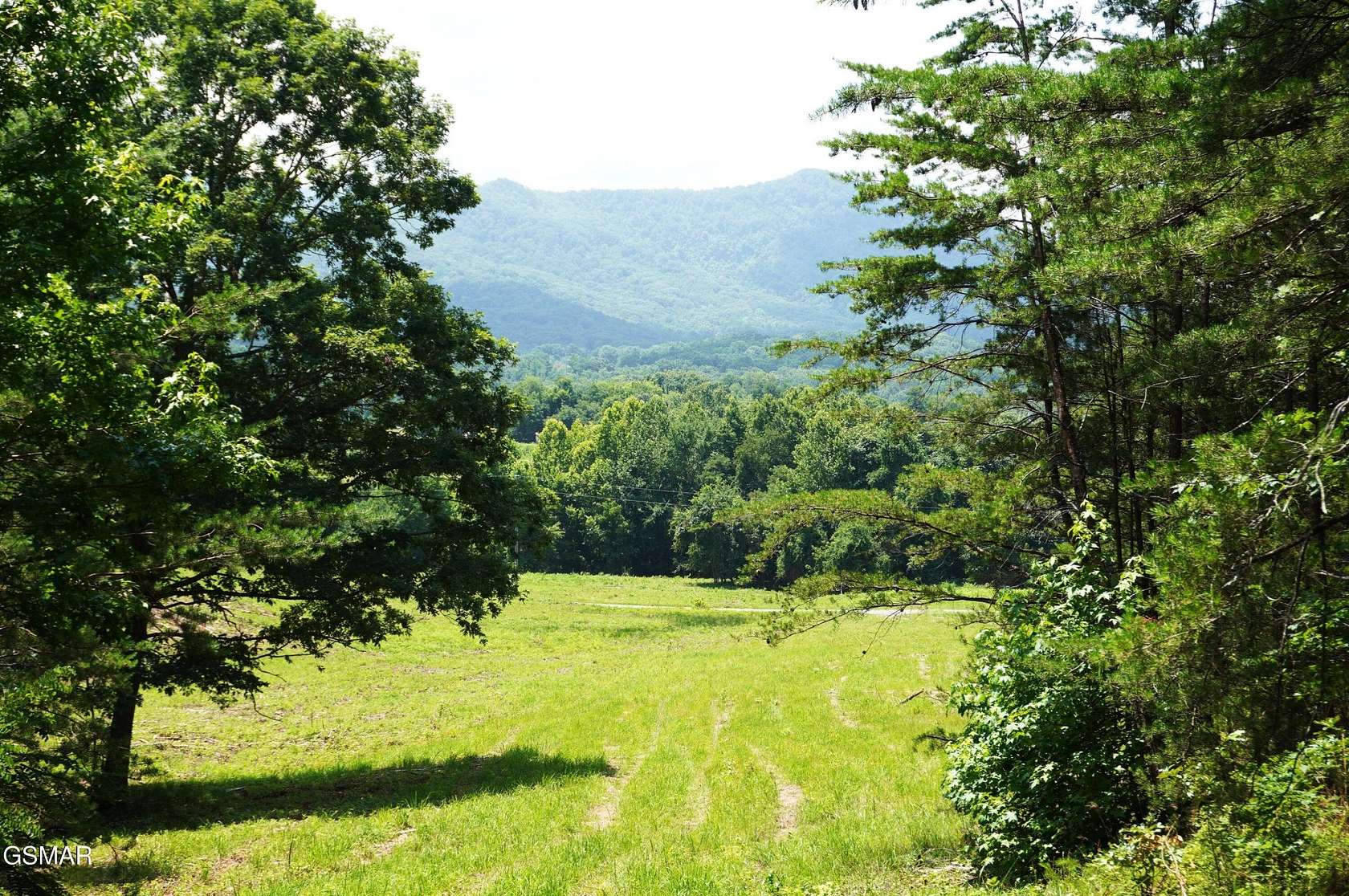 32.8 Acres of Land for Sale in Newport, Tennessee