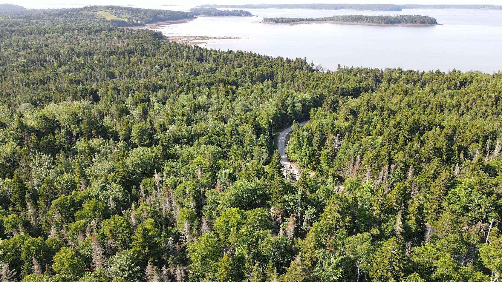 9.8 Acres of Residential Land for Sale in Roque Bluffs, Maine