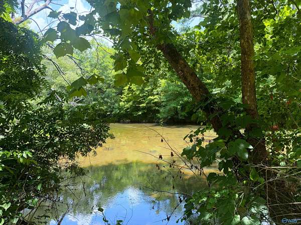 0.76 Acres of Land for Sale in Piedmont, Alabama