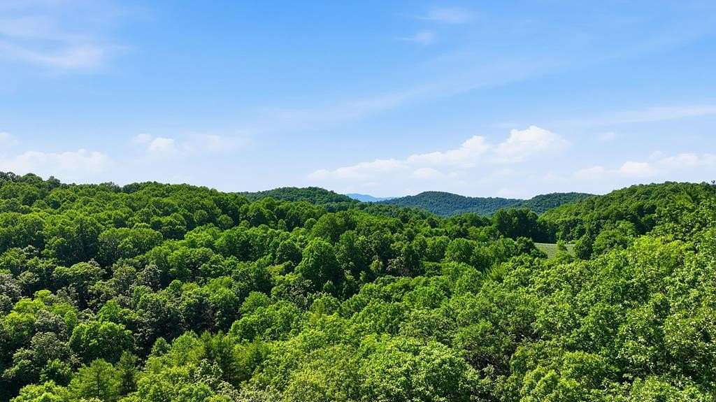 6.2 Acres of Residential Land for Sale in Scaly Mountain, North Carolina