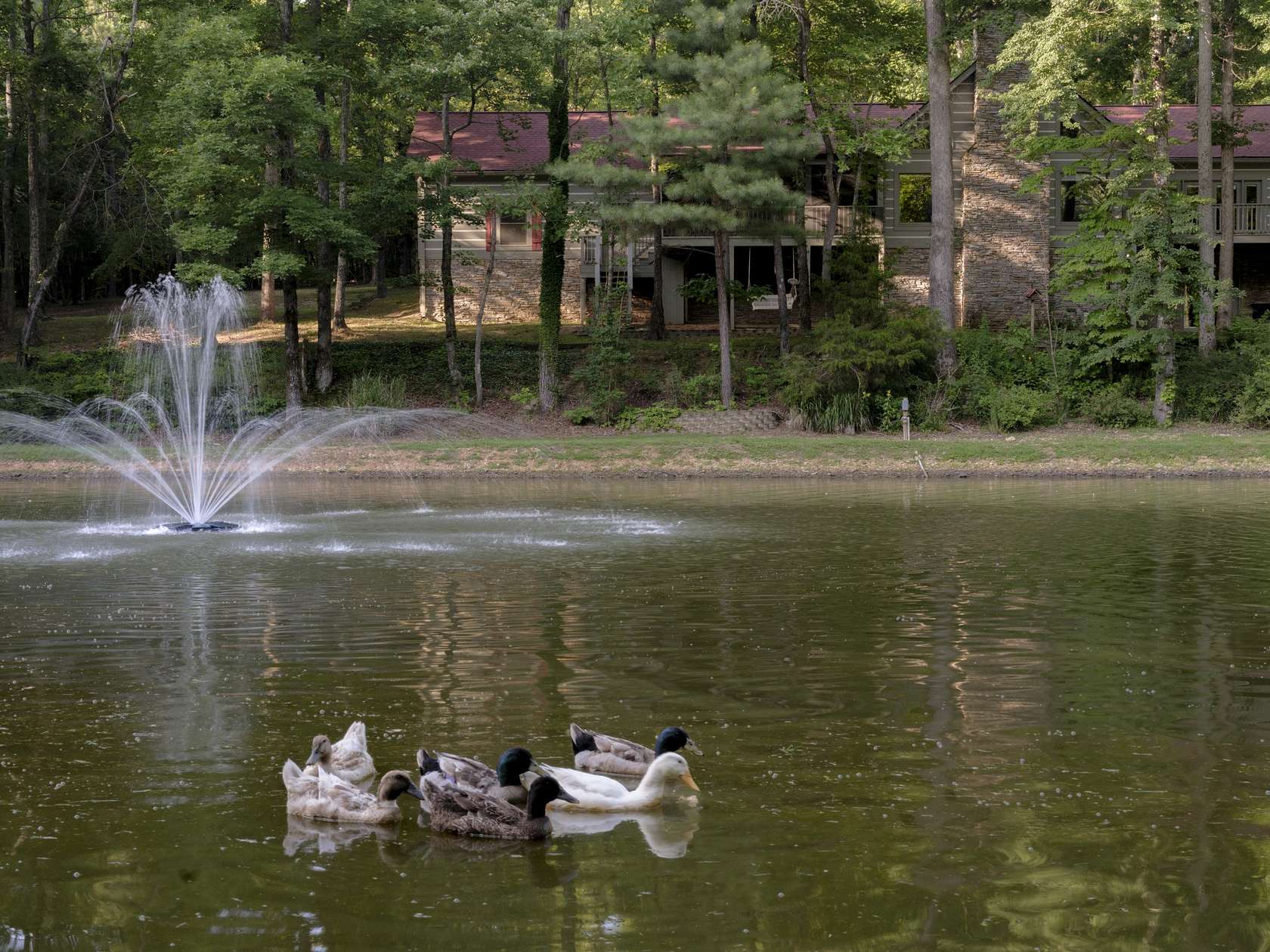 9 Acres of Land with Home for Sale in Primm Springs, Tennessee