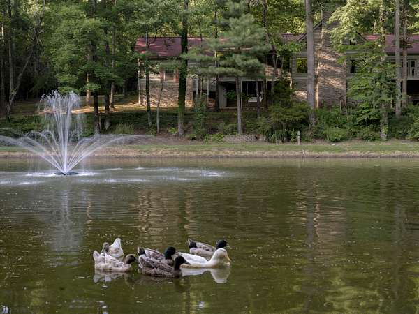 9 Acres of Land with Home for Sale in Primm Springs, Tennessee