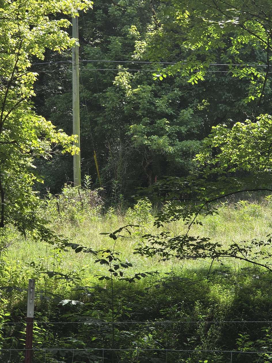 60 Acres of Recreational Land for Sale in Pleasant Shade, Tennessee