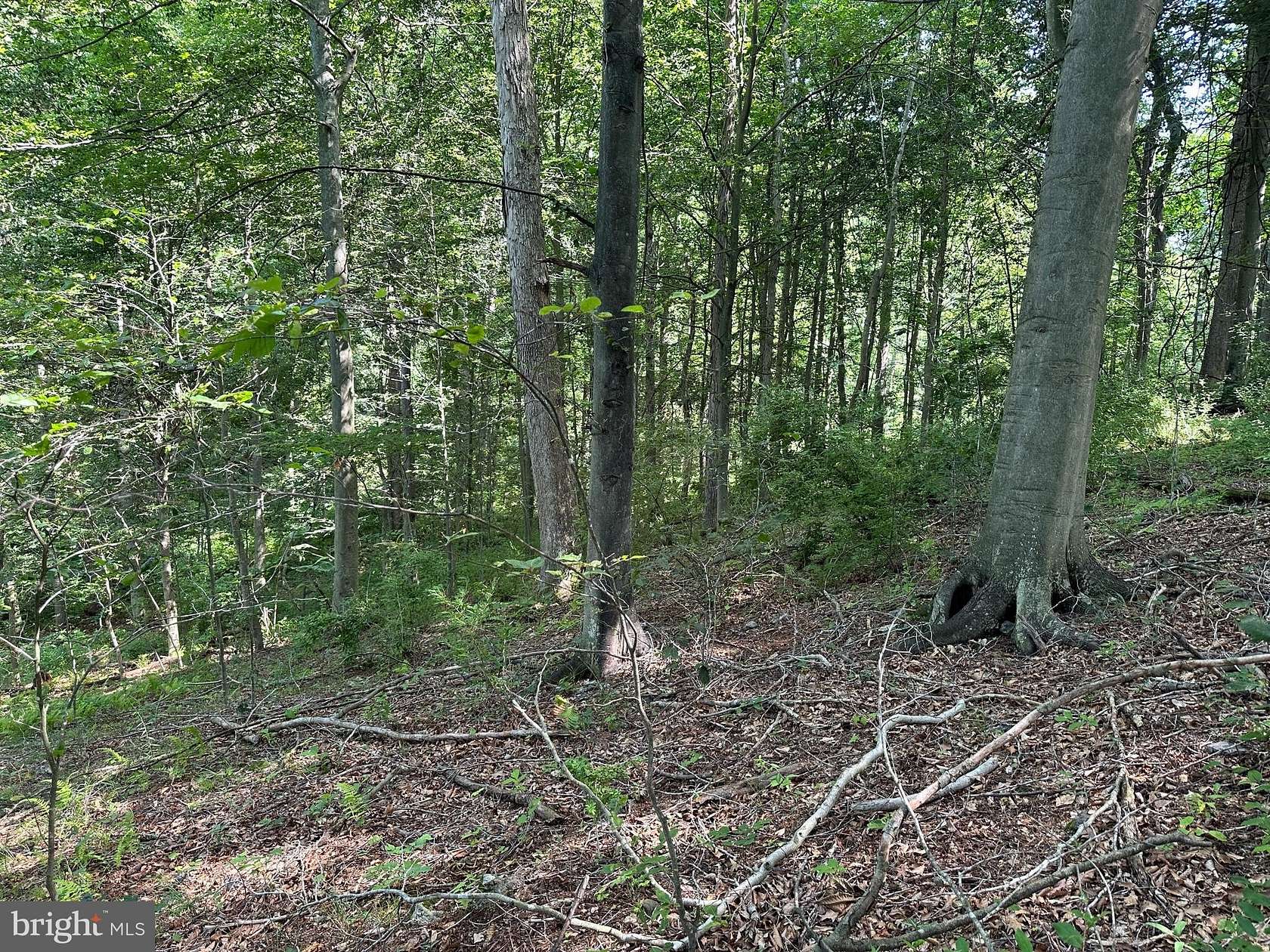 8.87 Acres of Land for Sale in Clear Spring, Maryland