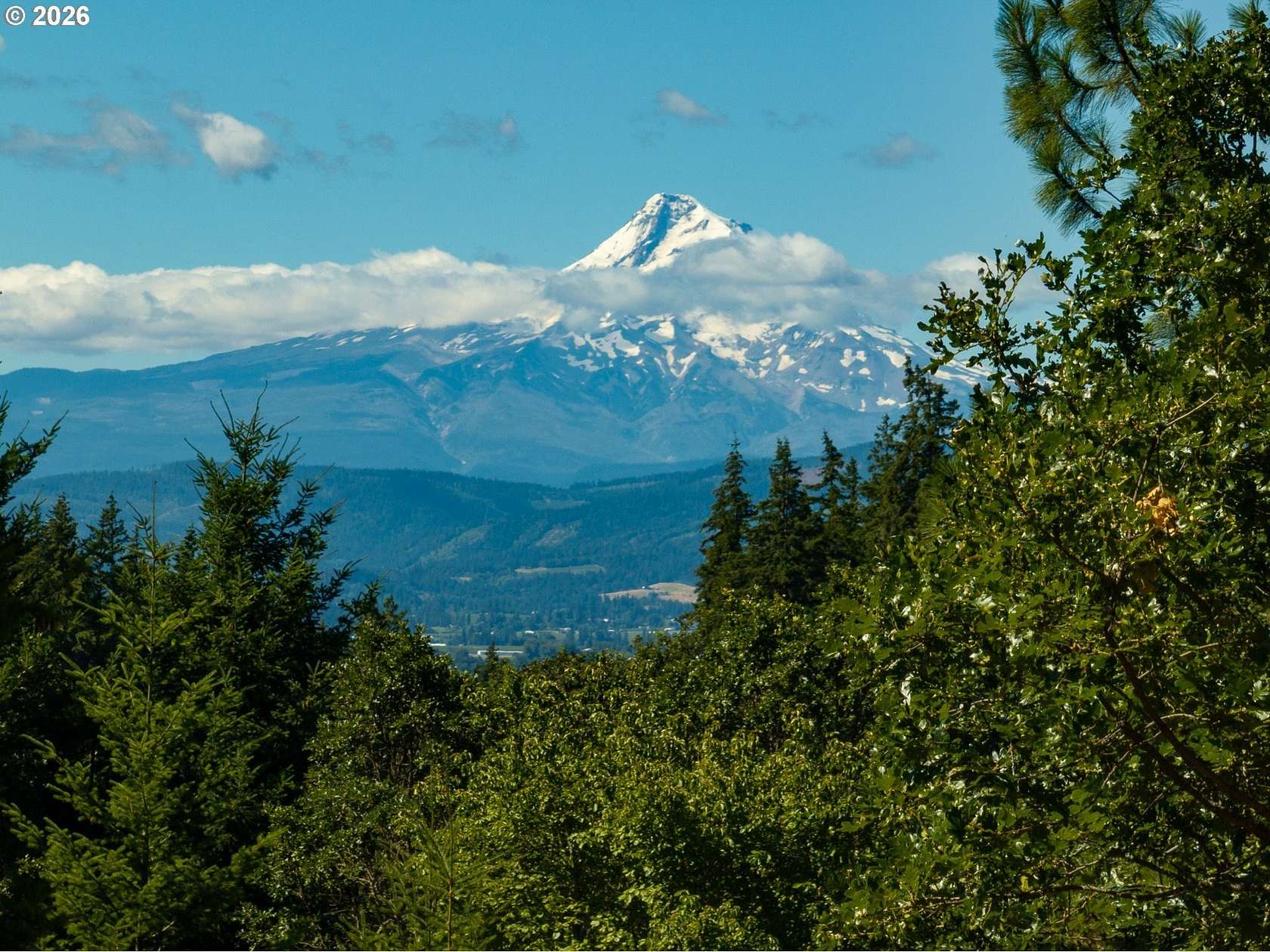 5.3 Acres of Residential Land for Sale in White Salmon, Washington