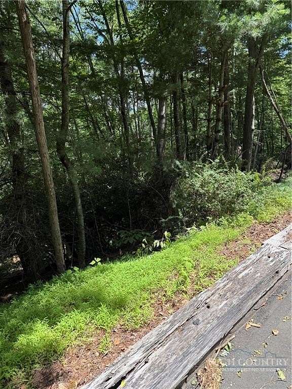 0.67 Acres of Residential Land for Sale in Piney Creek, North Carolina
