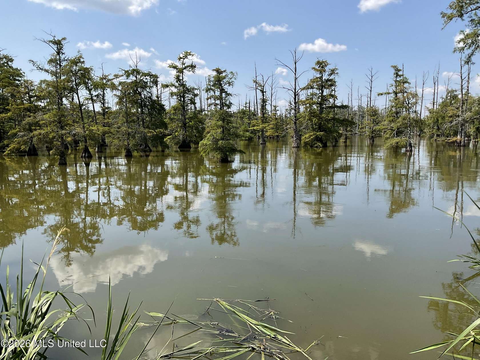 0.66 Acres of Residential Land for Sale in Glen Allan, Mississippi