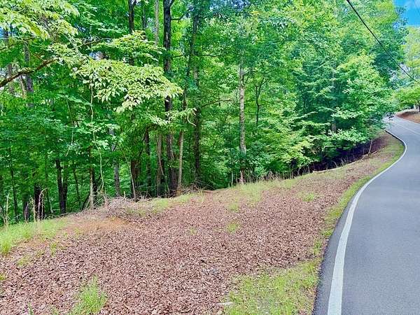0.88 Acres of Residential Land for Sale in Ellijay, Georgia