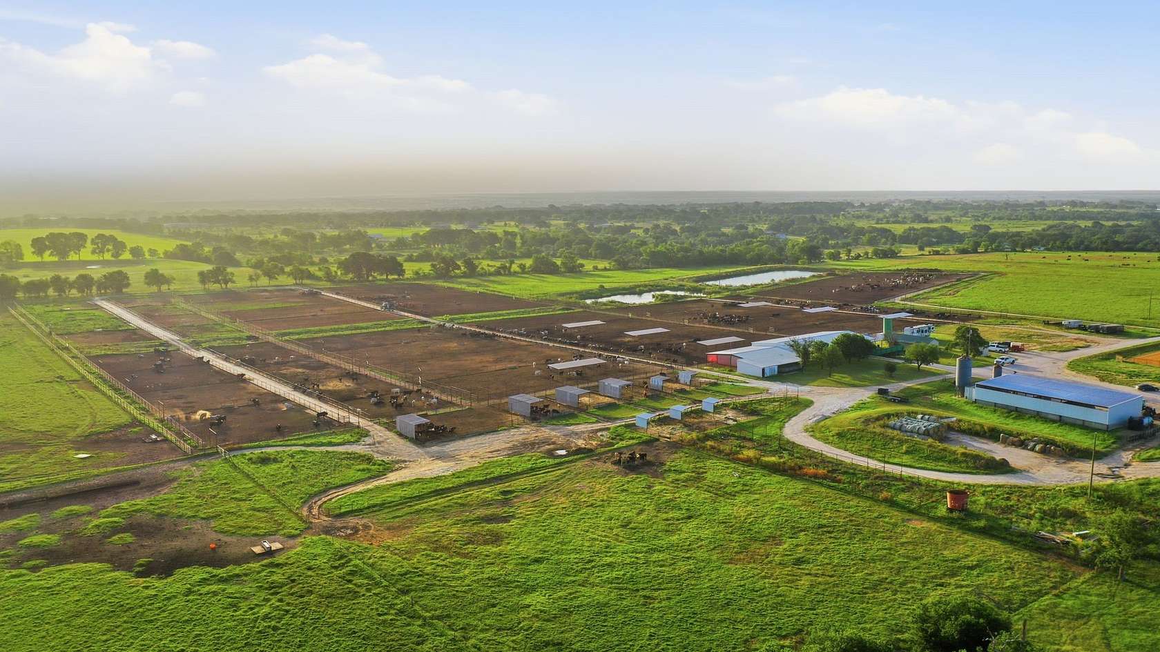 151 Acres of Land for Sale in Stephenville, Texas