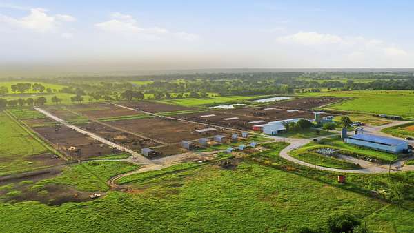 151 Acres of Land for Sale in Stephenville, Texas