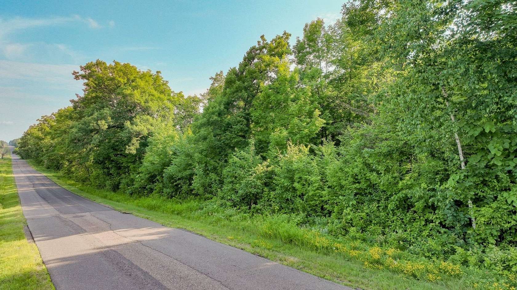 40 Acres of Recreational & Residential Land for Sale in Chetek, Wisconsin