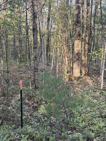0.23 Acres of Land for Sale in Bitely, Michigan