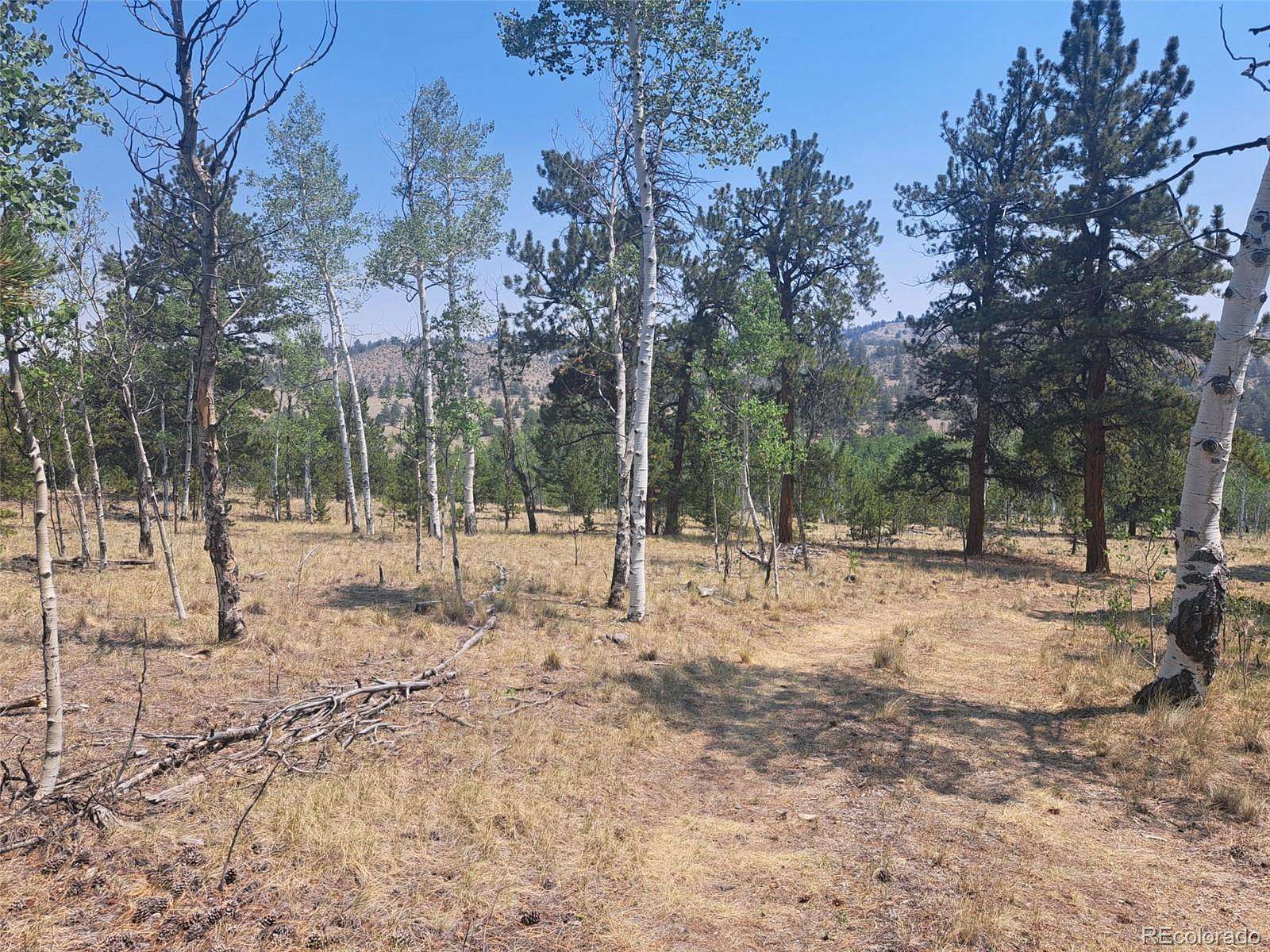 5.2 Acres of Residential Land for Sale in Hartsel, Colorado