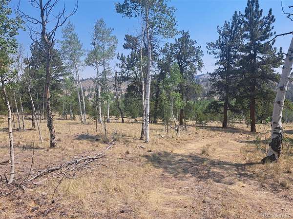 5.2 Acres of Residential Land for Sale in Hartsel, Colorado