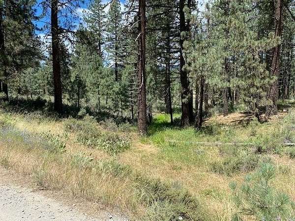 0.72 Acres of Commercial Land for Sale in Portola, California