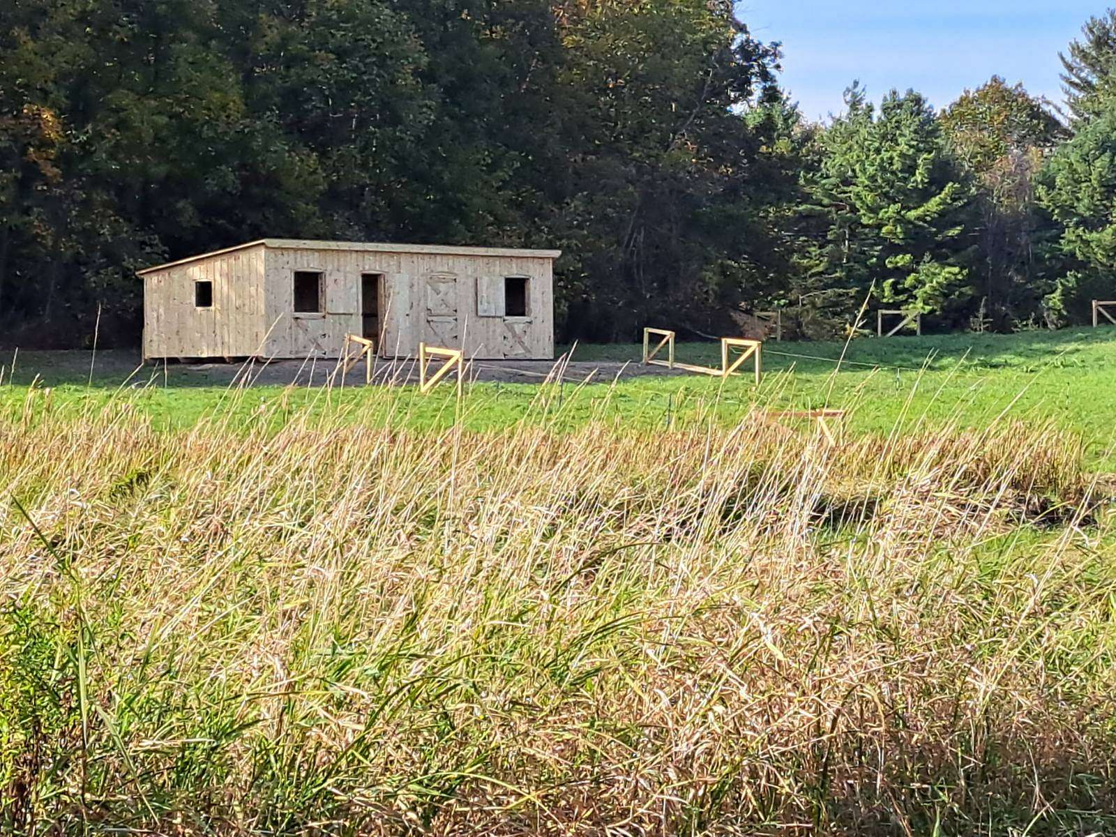 43.9 Acres of Land for Sale in Gouverneur, New York