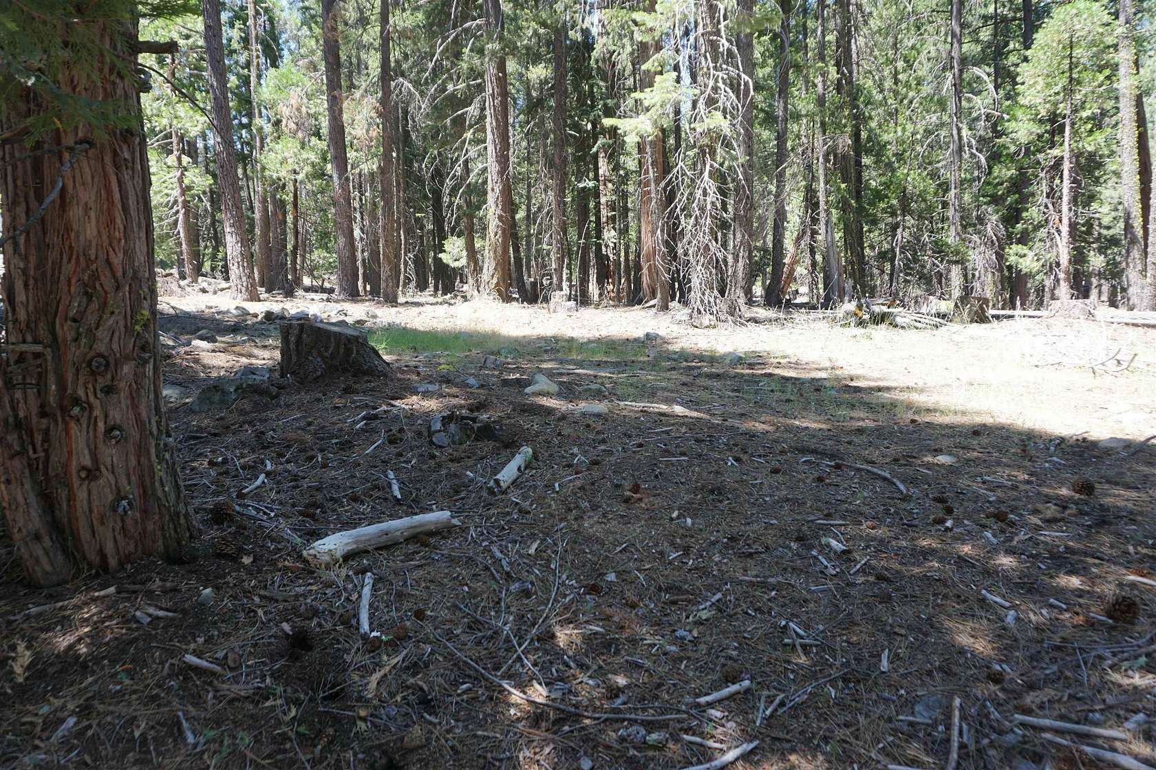 0.67 Acres of Residential Land for Sale in Graeagle, California