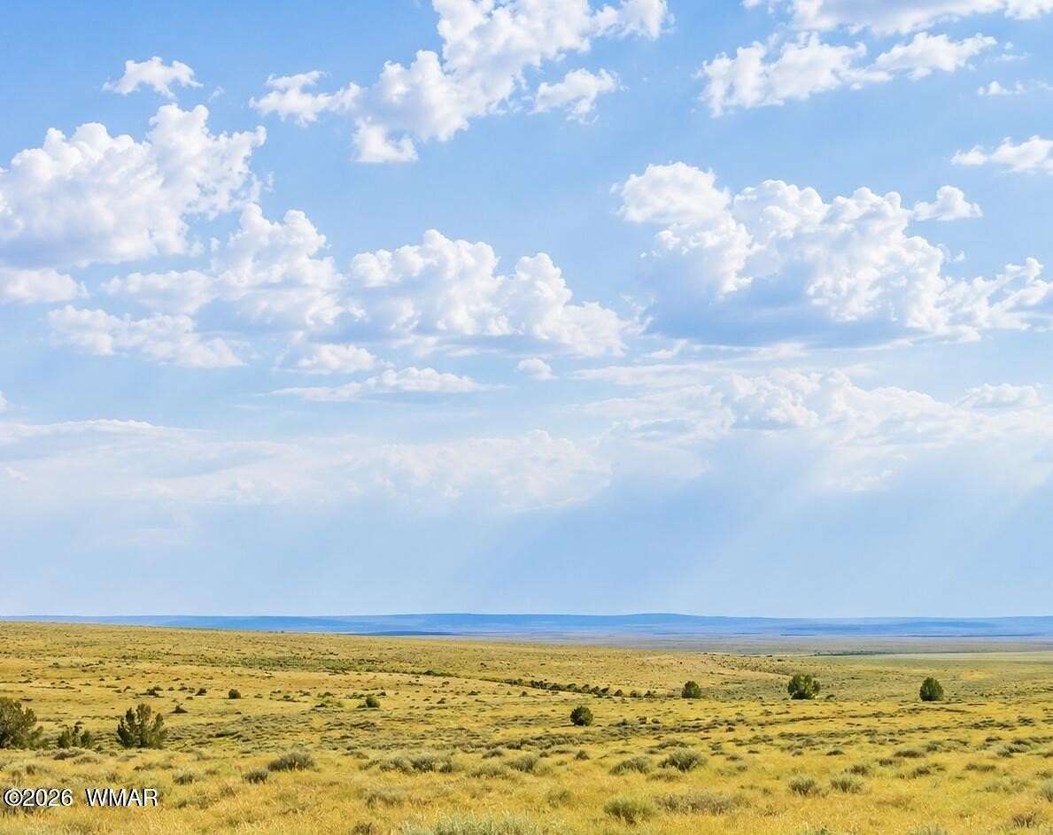 0.5 Acres of Residential Land for Sale in Concho, Arizona