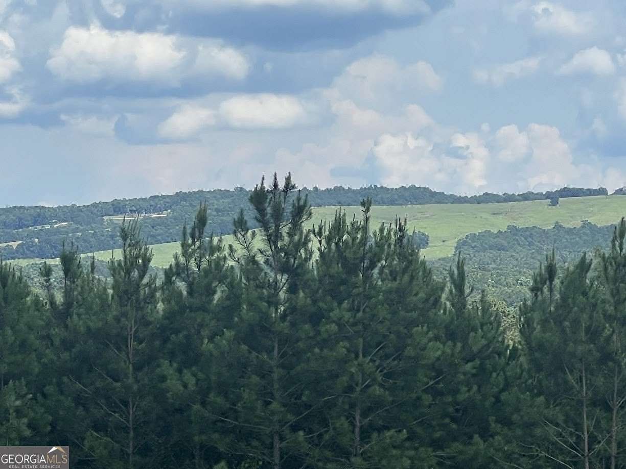 26.7 Acres of Recreational & Residential Land for Sale in Woodbury, Georgia