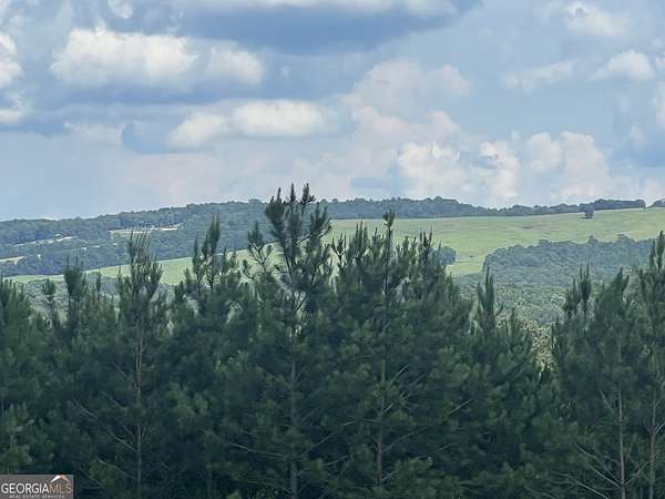 26.7 Acres of Recreational & Residential Land for Sale in Woodbury, Georgia