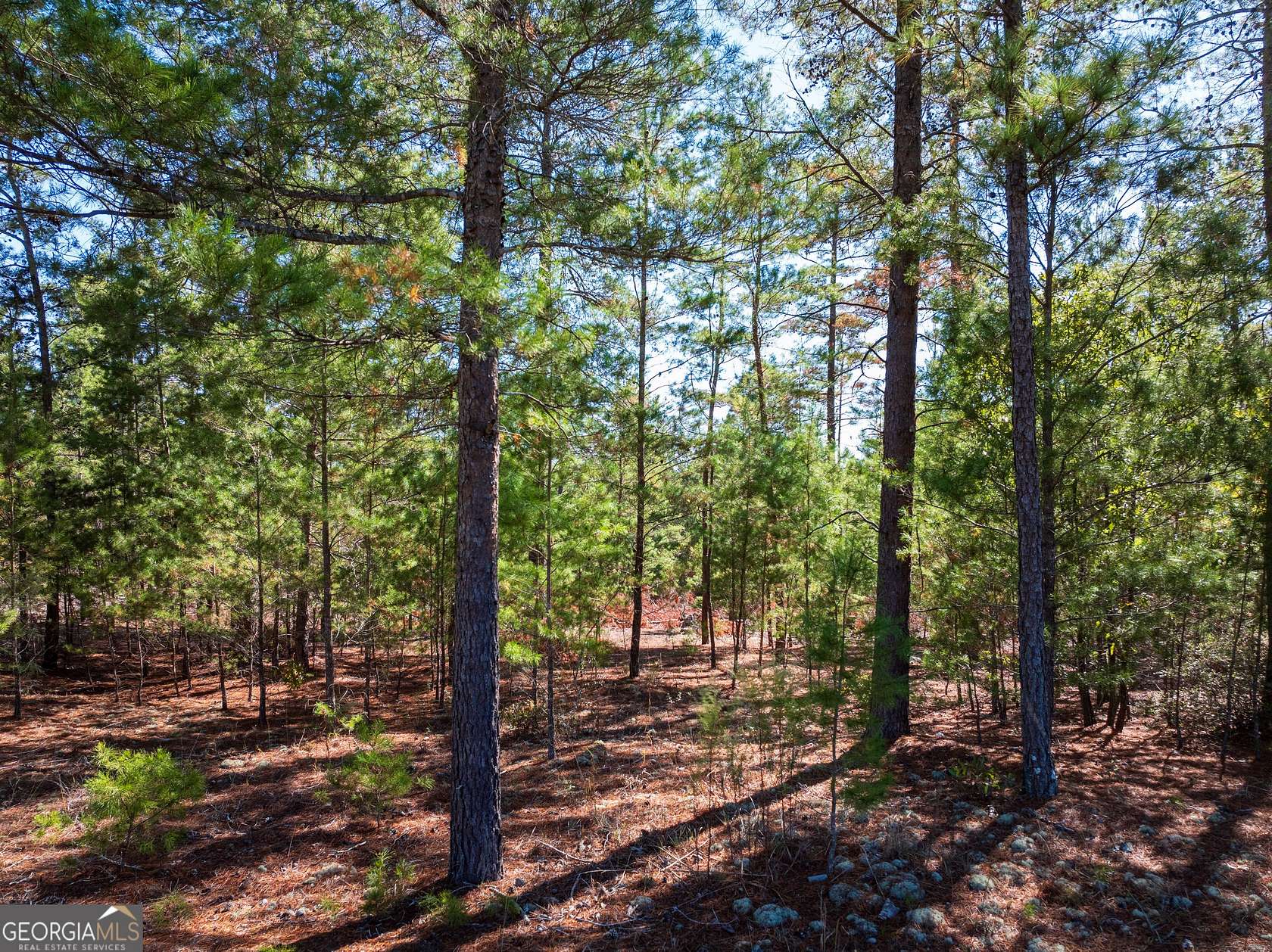 29 Acres of Recreational & Residential Land for Sale in Roberta, Georgia